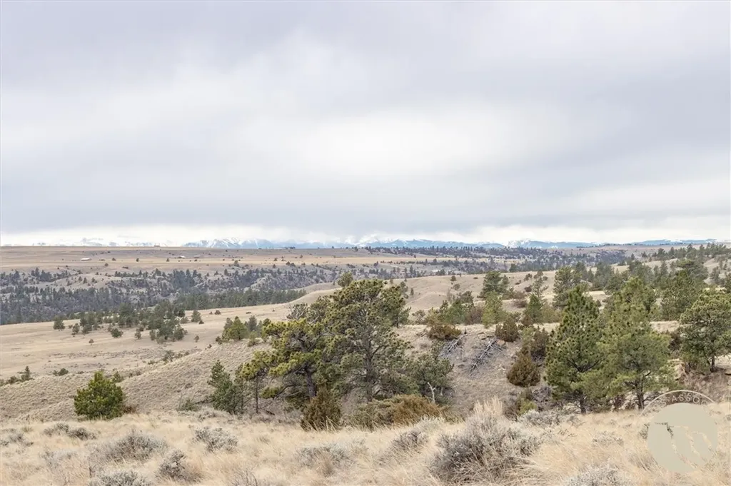 00 Rocky Ridge Road Molt MT 59057