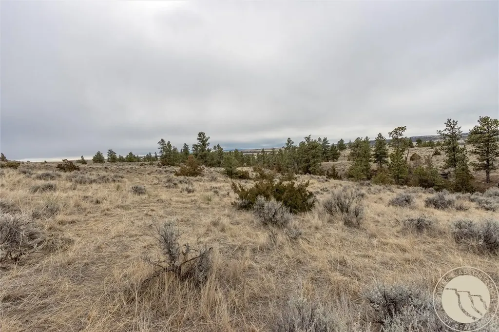 00 Rocky Ridge Road Molt MT 59057