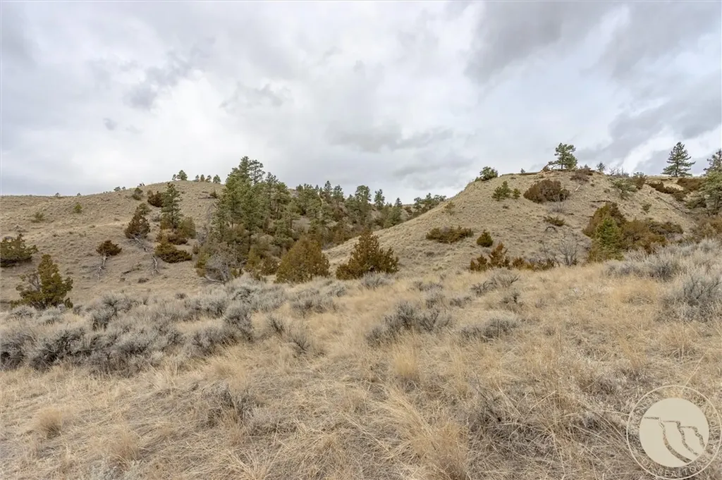 00 Rocky Ridge Road Molt MT 59057