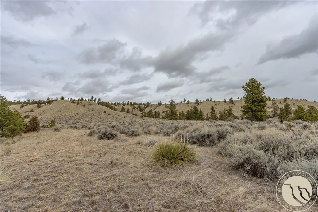 00 Rocky Ridge Road Molt MT 59057