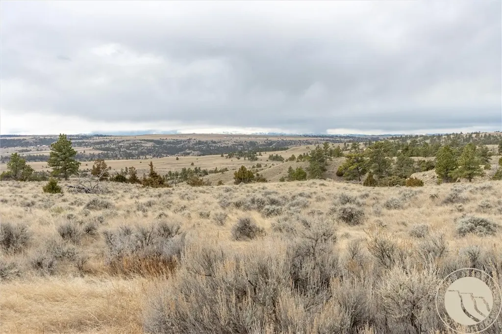 00 Rocky Ridge Road Molt MT 59057