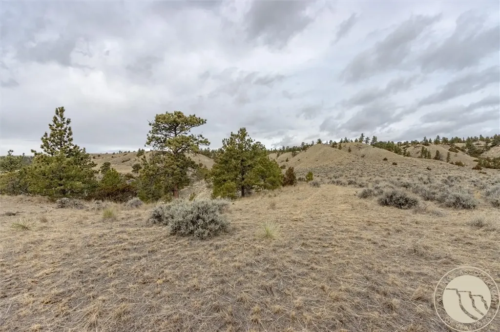 00 Rocky Ridge Road Molt MT 59057