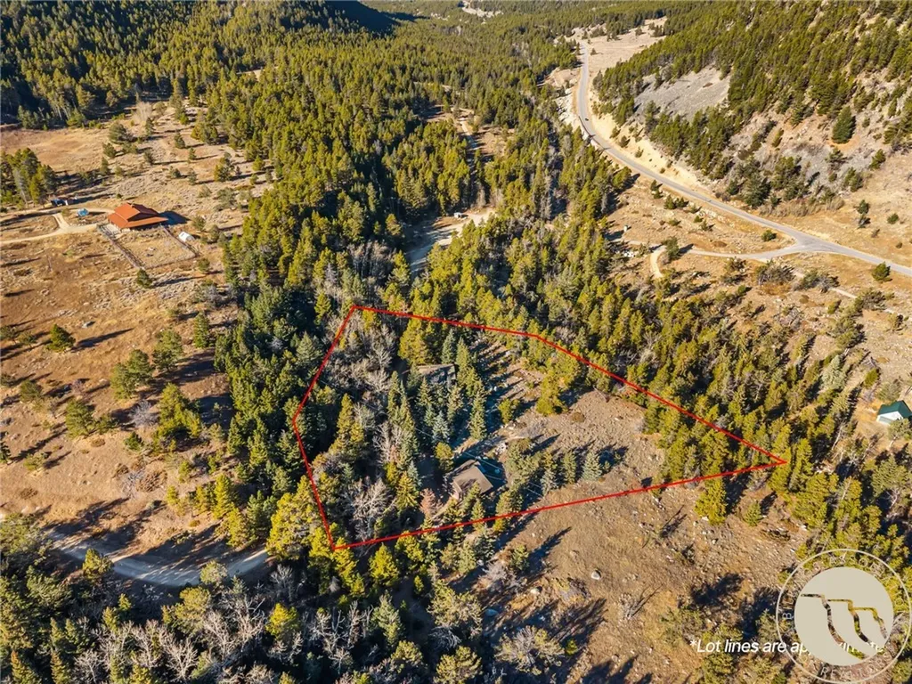 23 Silver Run Road Red Lodge MT 59068