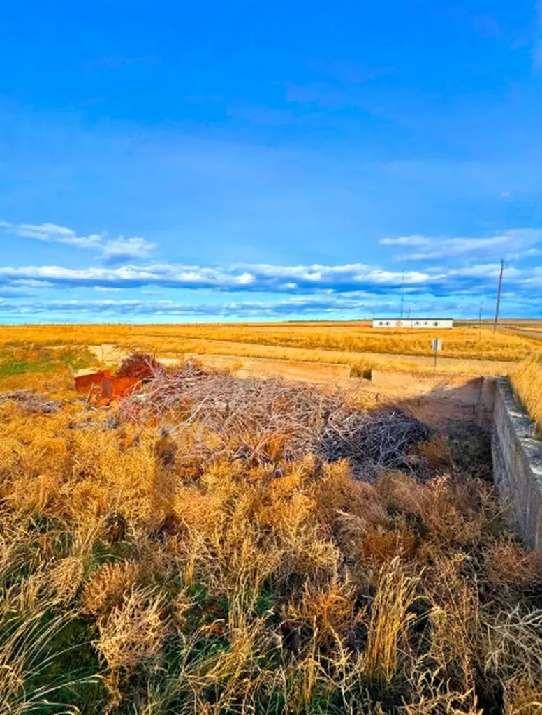 530 Belmont Road Lavina MT 59046