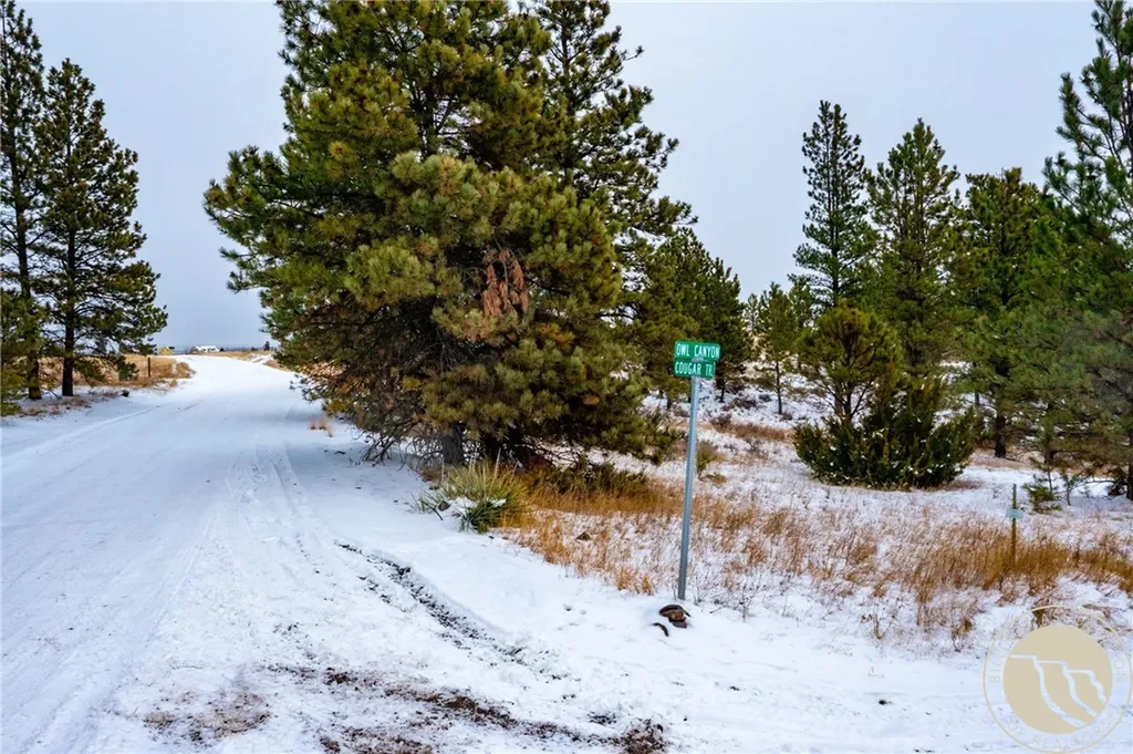 88 Cougar Trail Reed Point MT 59069