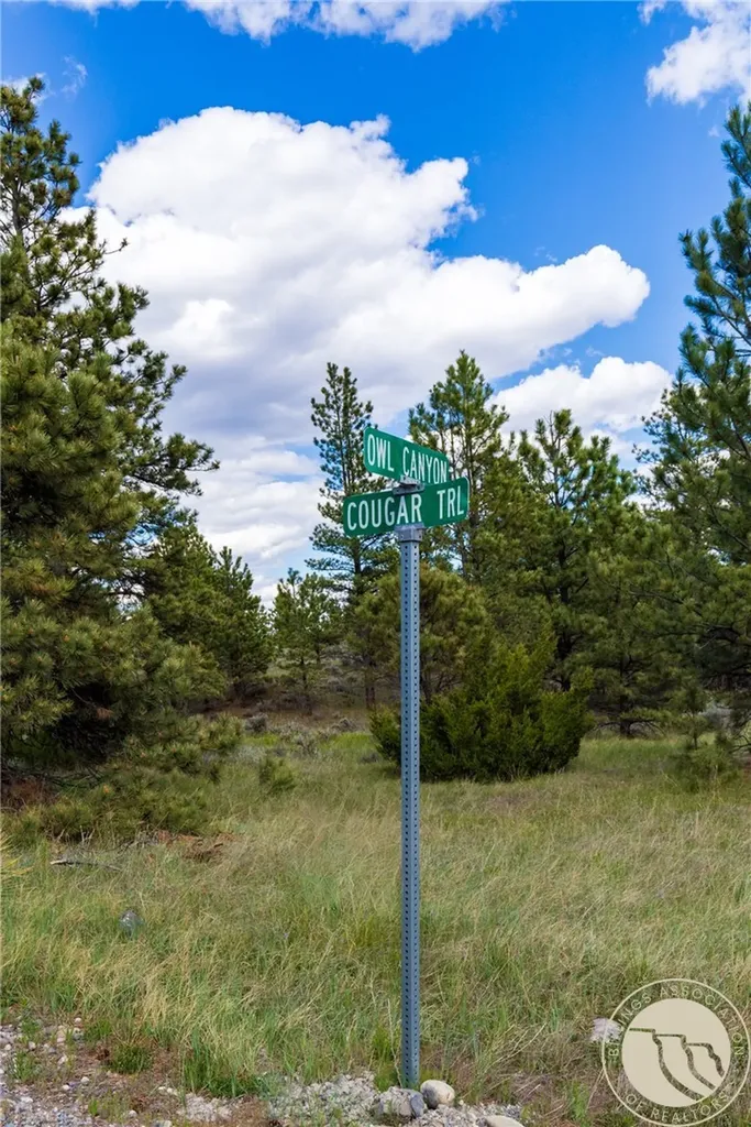 88 Cougar Trail Reed Point MT 59069