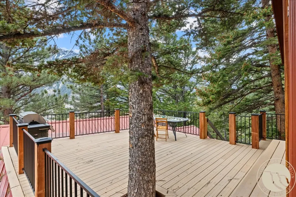 20 Sky View Trail Nye MT 59061