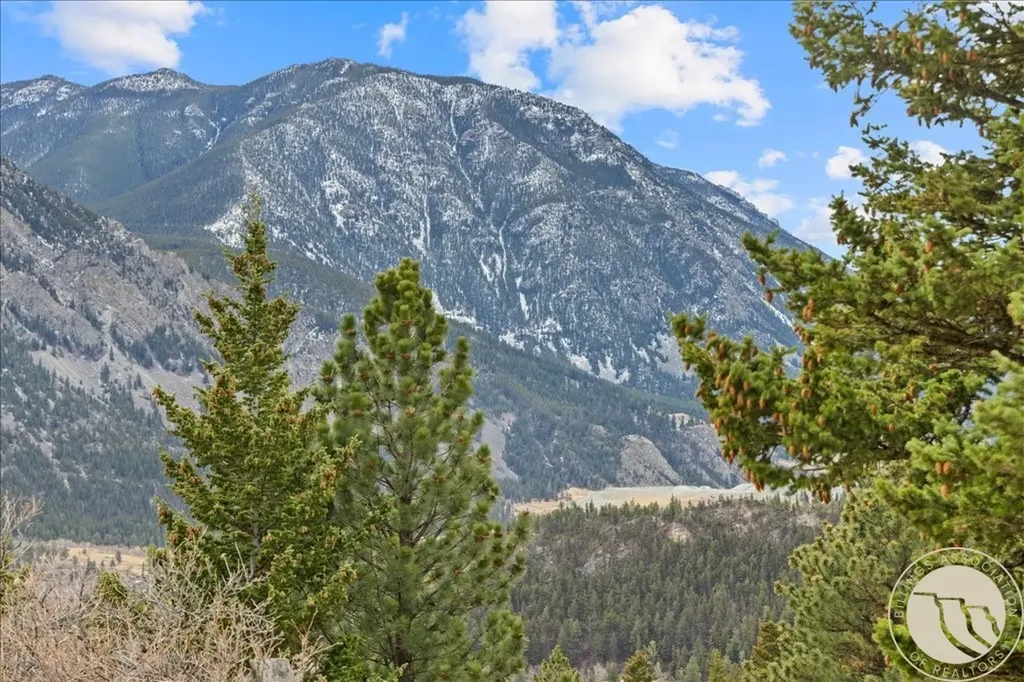 20 Sky View Trail Nye MT 59061