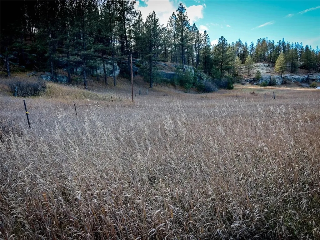 24 Klein Road Roundup MT 59072
