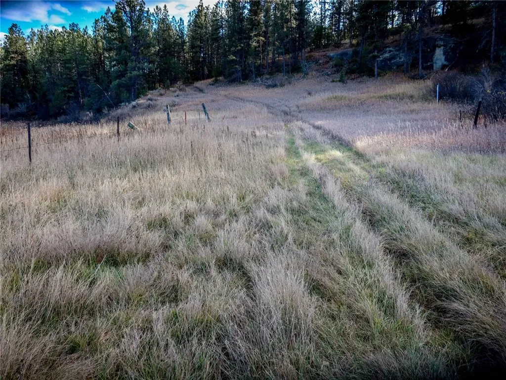 24 Klein Road Roundup MT 59072