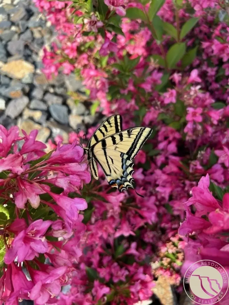 2529 Buffalo Ridge Trail Billings MT 59106