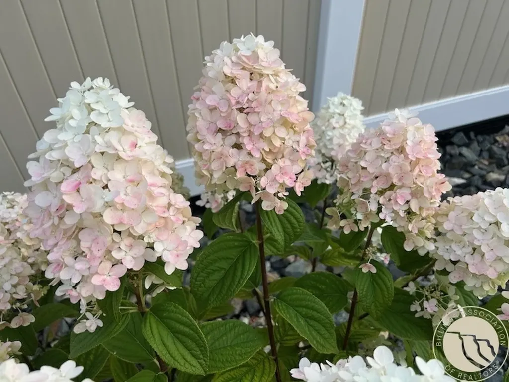 2529 Buffalo Ridge Trail Billings MT 59106