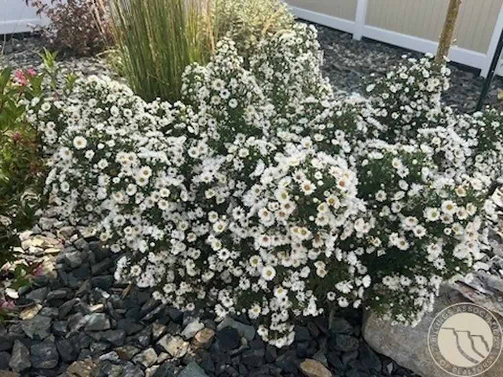 2529 Buffalo Ridge Trail Billings MT 59106