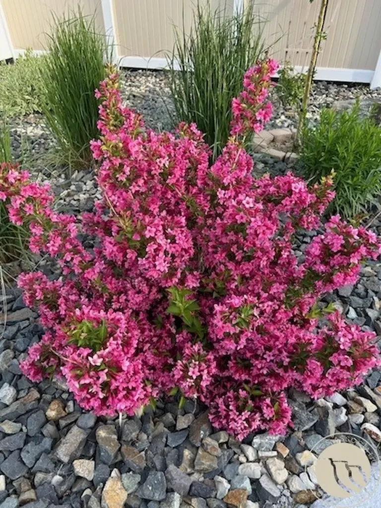 2529 Buffalo Ridge Trail Billings MT 59106