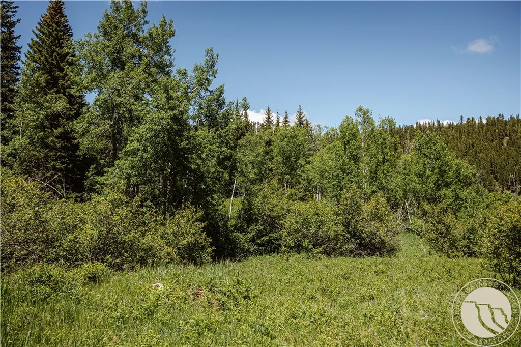 3885 NW Fork Flatwillow Road Lewistown MT 59457