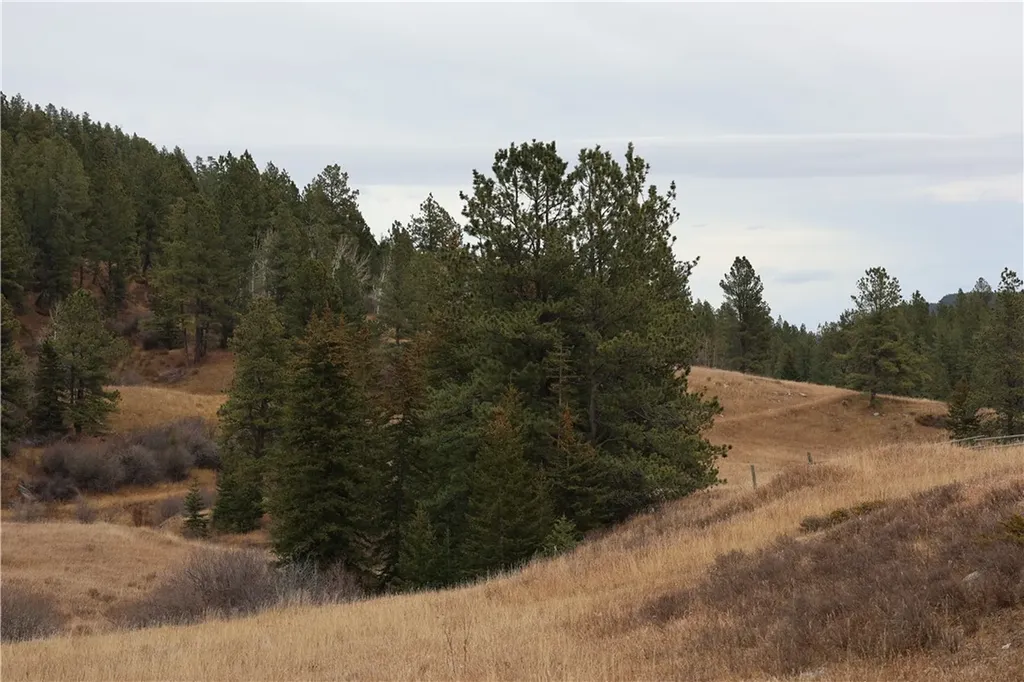 3885 NW Fork Flatwillow Road Lewistown MT 59457