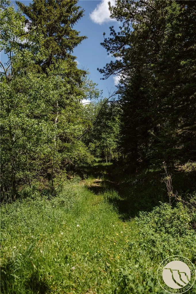 3885 NW Fork Flatwillow Road Lewistown MT 59457