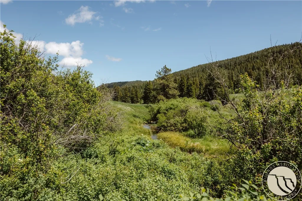 3885 NW Fork Flatwillow Road Lewistown MT 59457