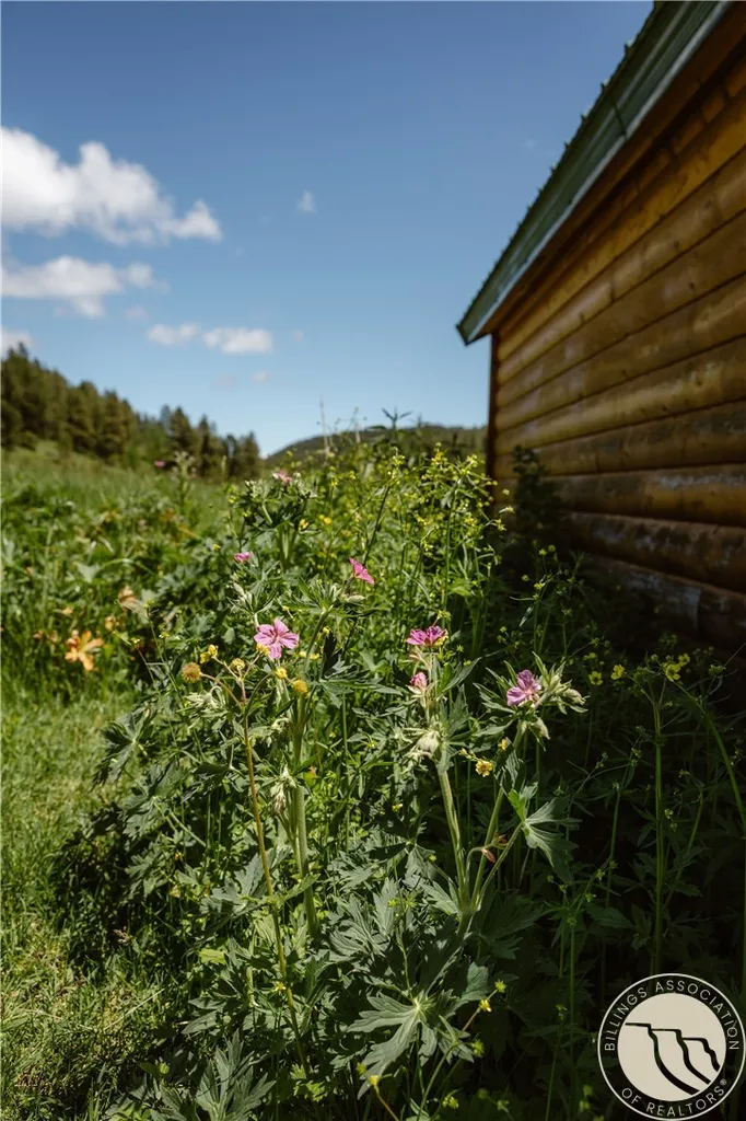 3885 NW Fork Flatwillow Road Lewistown MT 59457