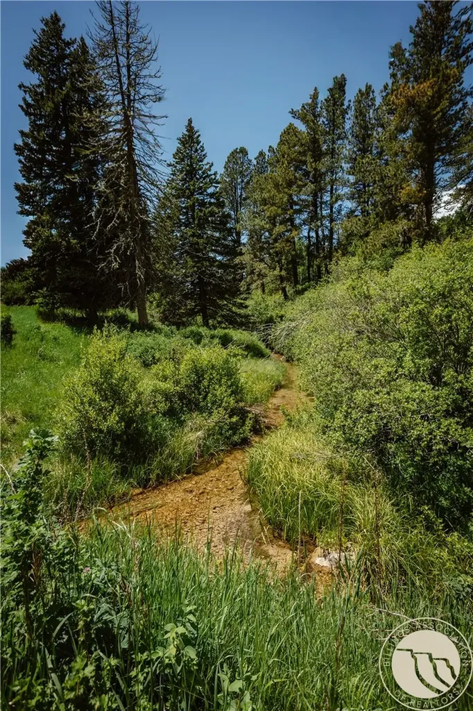3885 NW Fork Flatwillow Road Lewistown MT 59457