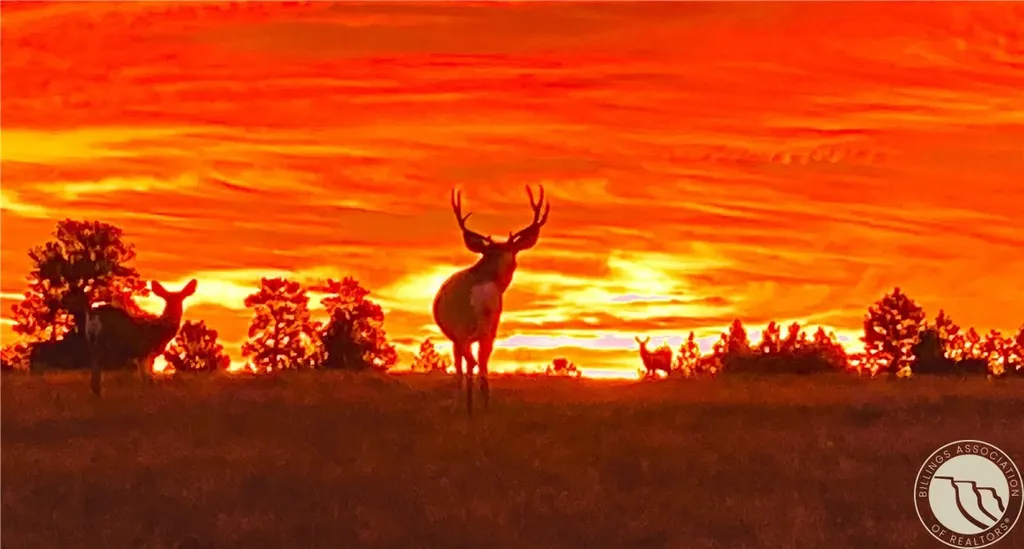 3919 High Trail Road Billings MT 59101