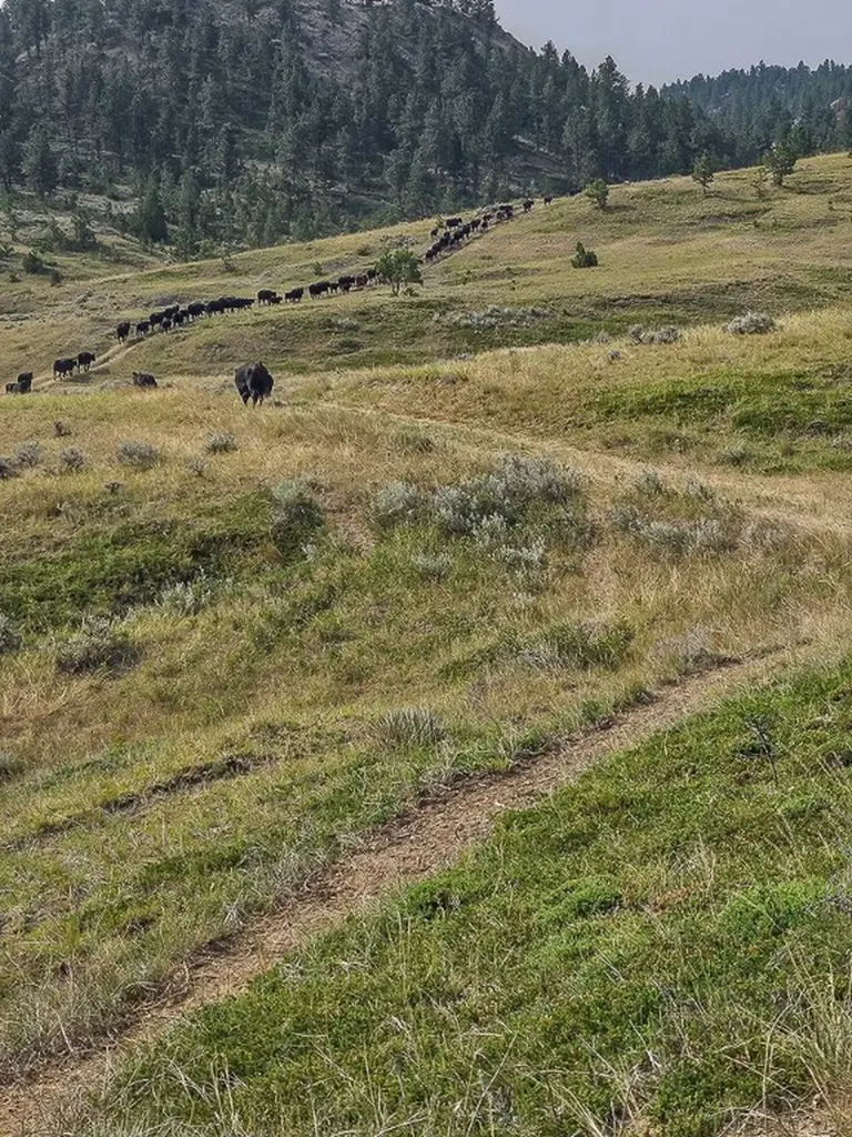 480 Spring Creek Road Baker MT 59336