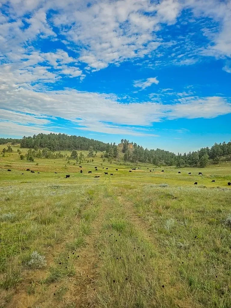 480 Spring Creek Road Baker MT 59336