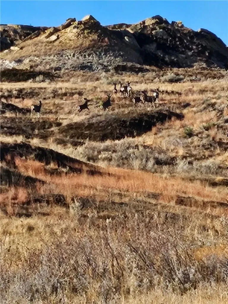 480 Spring Creek Road Baker MT 59336