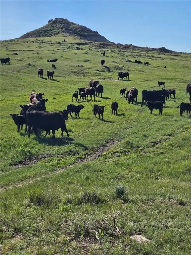 480 Spring Creek Road Baker MT 59336