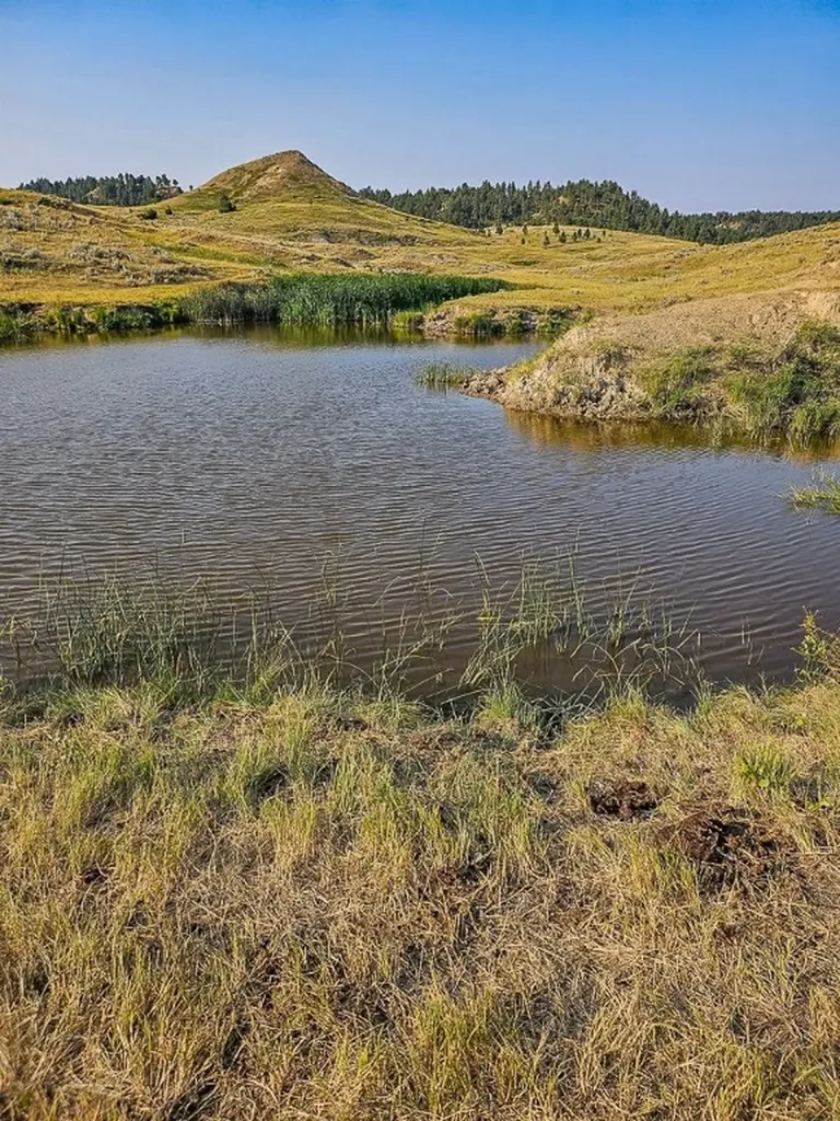 480 Spring Creek Road Baker MT 59336