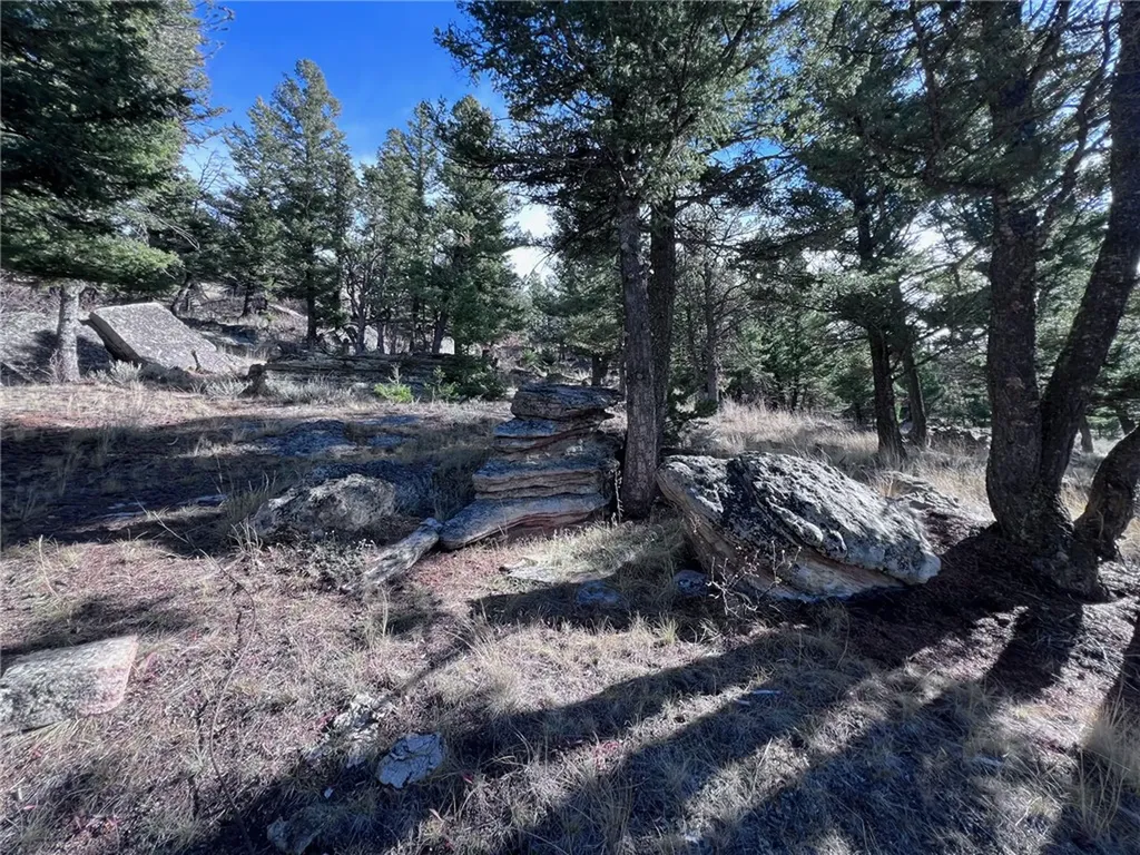 89 Mayn White Sulphur Springs MT 59645