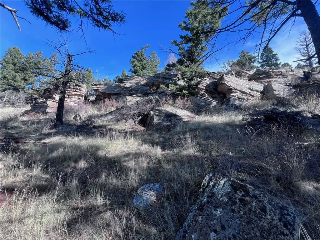 89 Mayn White Sulphur Springs MT 59645