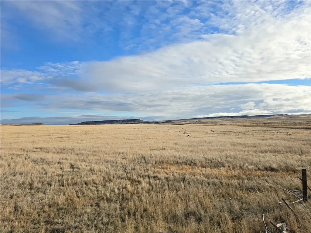 Tbd Vananda Other MT 59327