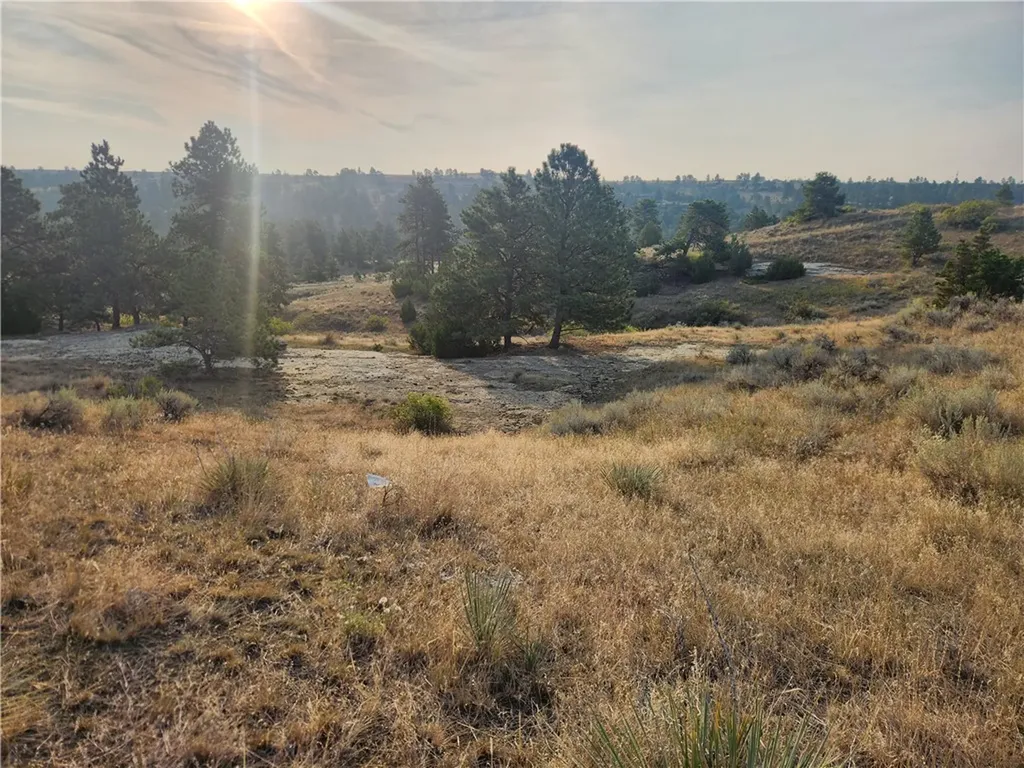 00 Skyway Drive Billings MT 59106