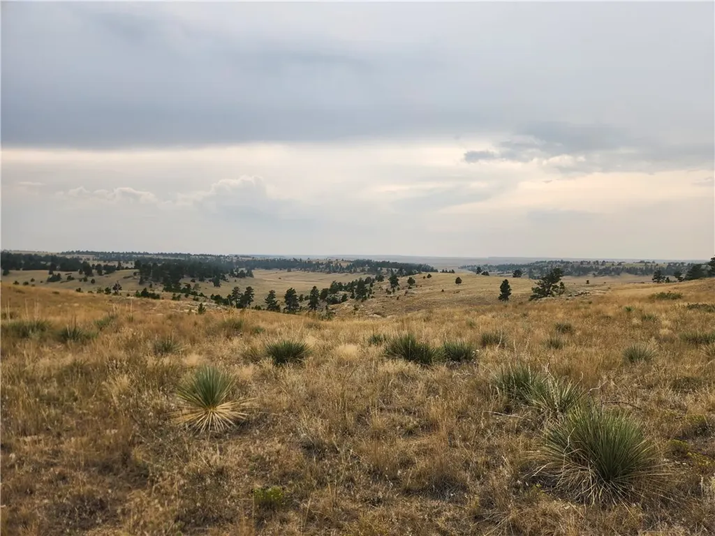 00 Skyway Drive Billings MT 59106