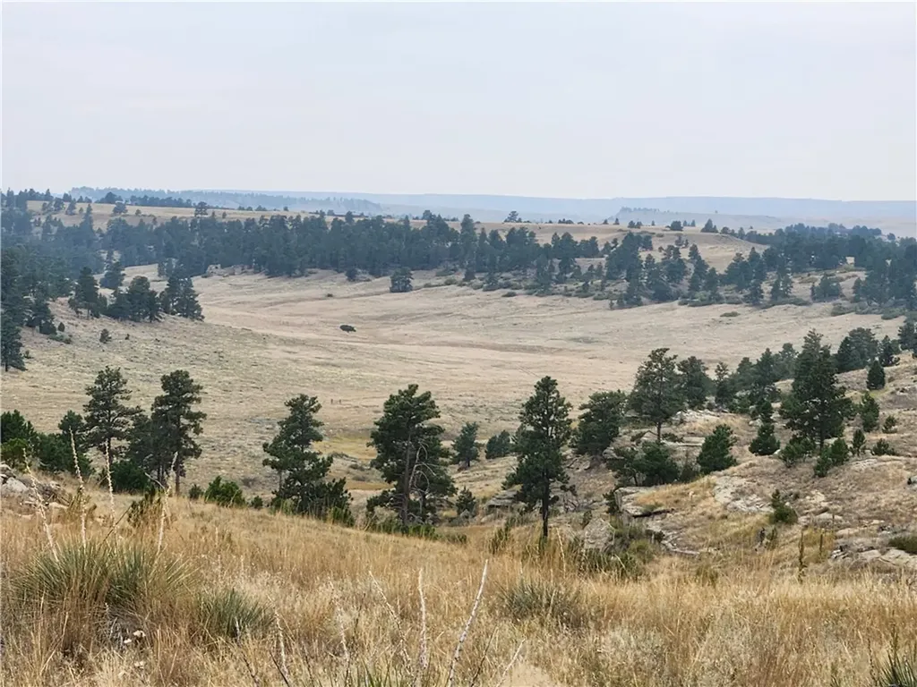 00 Skyway Drive Billings MT 59106