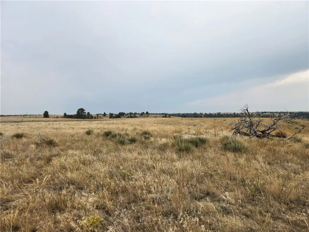 00 Skyway Drive Billings MT 59106