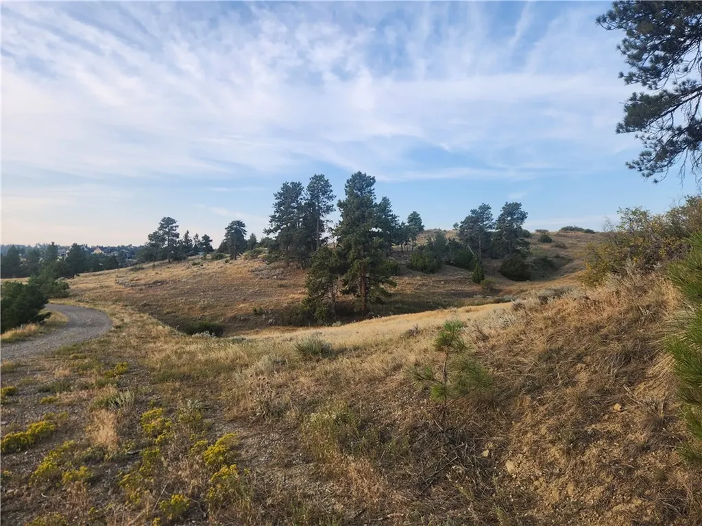 00 Skyway Drive Billings MT 59106