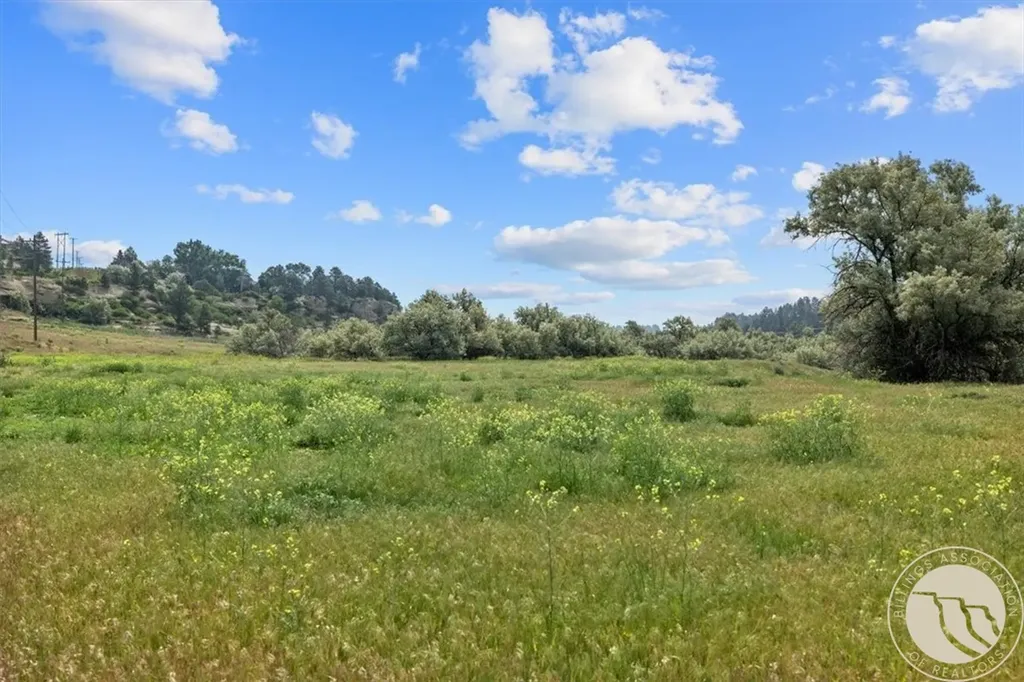 Lot C Alkali Creek Road Billings MT 59105