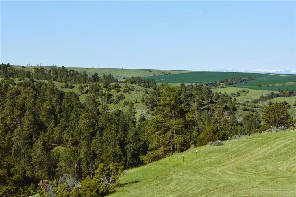6818 South Fork Road Billings MT 59101