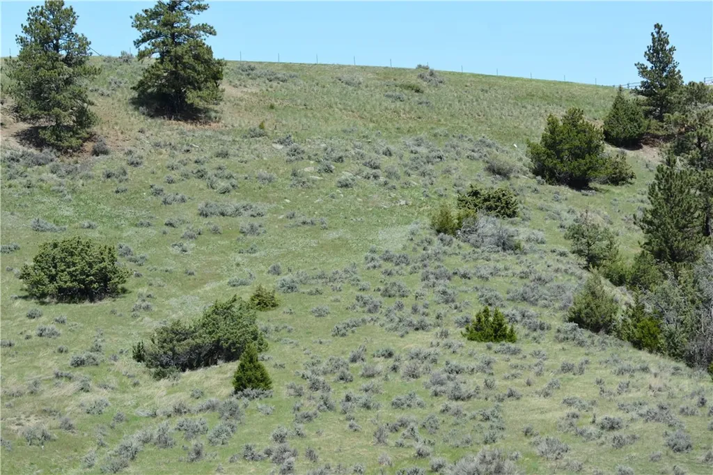 6818 South Fork Road Billings MT 59101