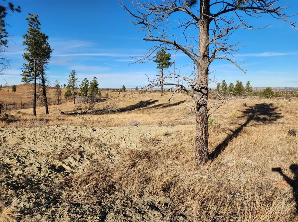 669 Old Stage Road Other MT 59058