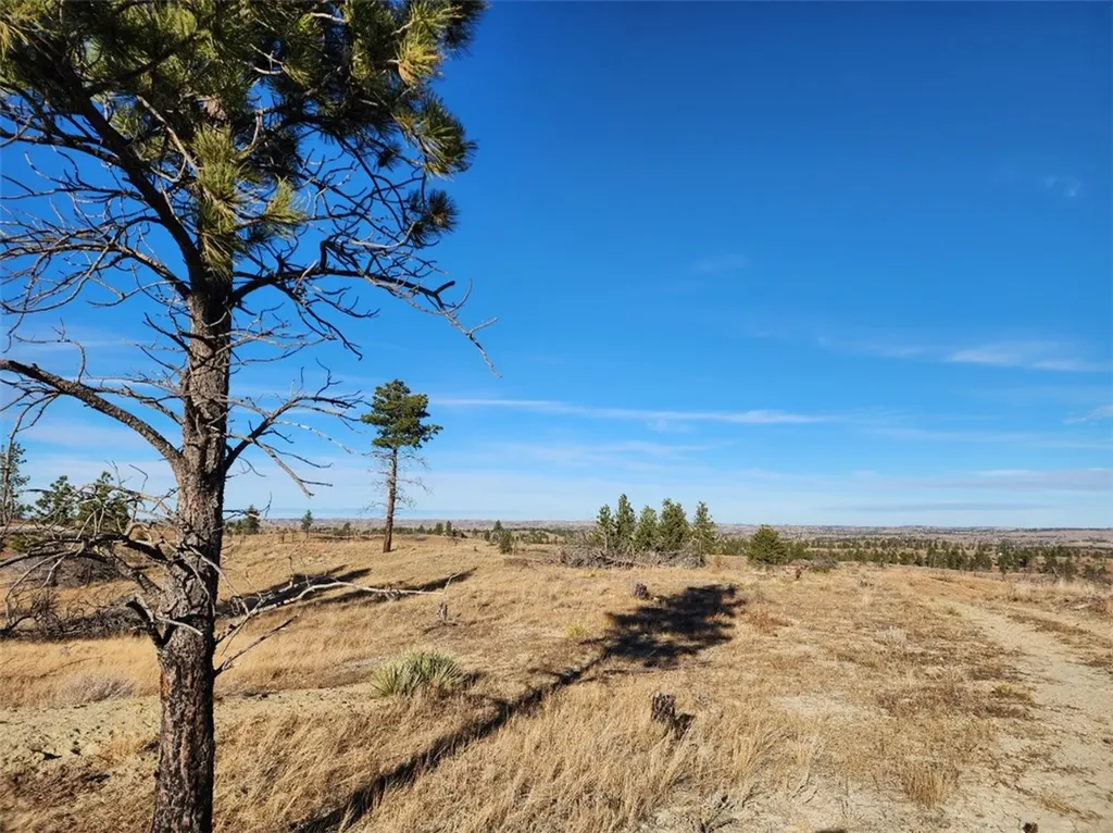 669 Old Stage Road Other MT 59058