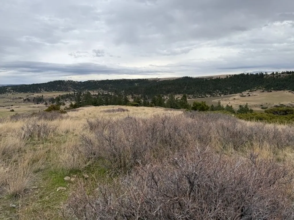 Tbd Brumfield Road Brumfield Reed Point MT 59069