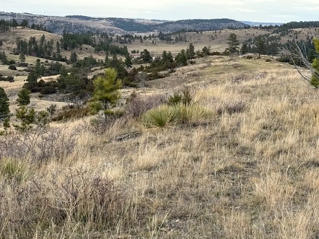 Tbd Brumfield Road Brumfield Reed Point MT 59069