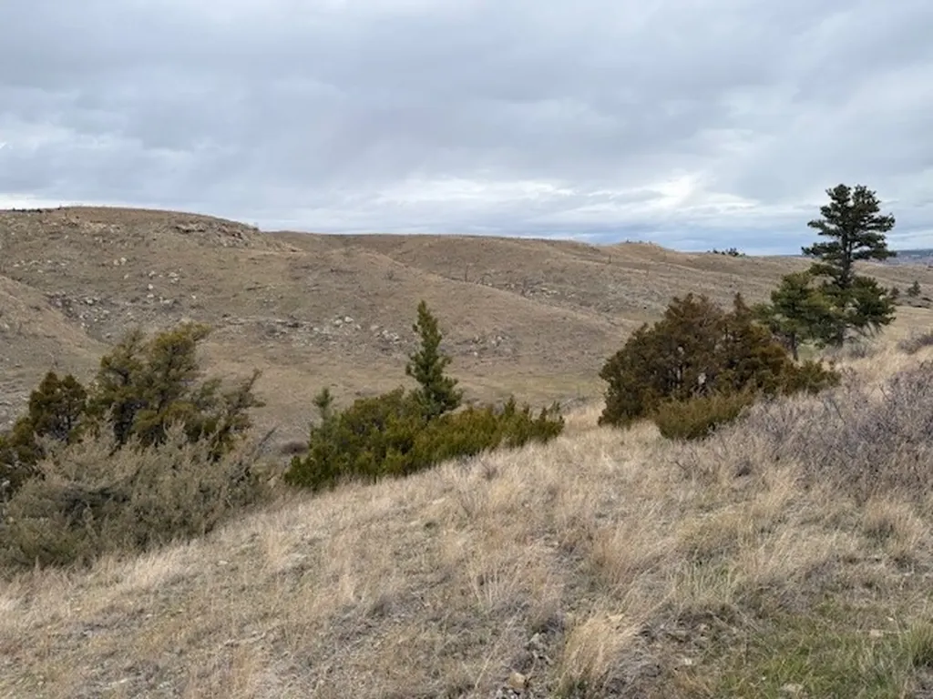 Tbd Brumfield Road Brumfield Reed Point MT 59069