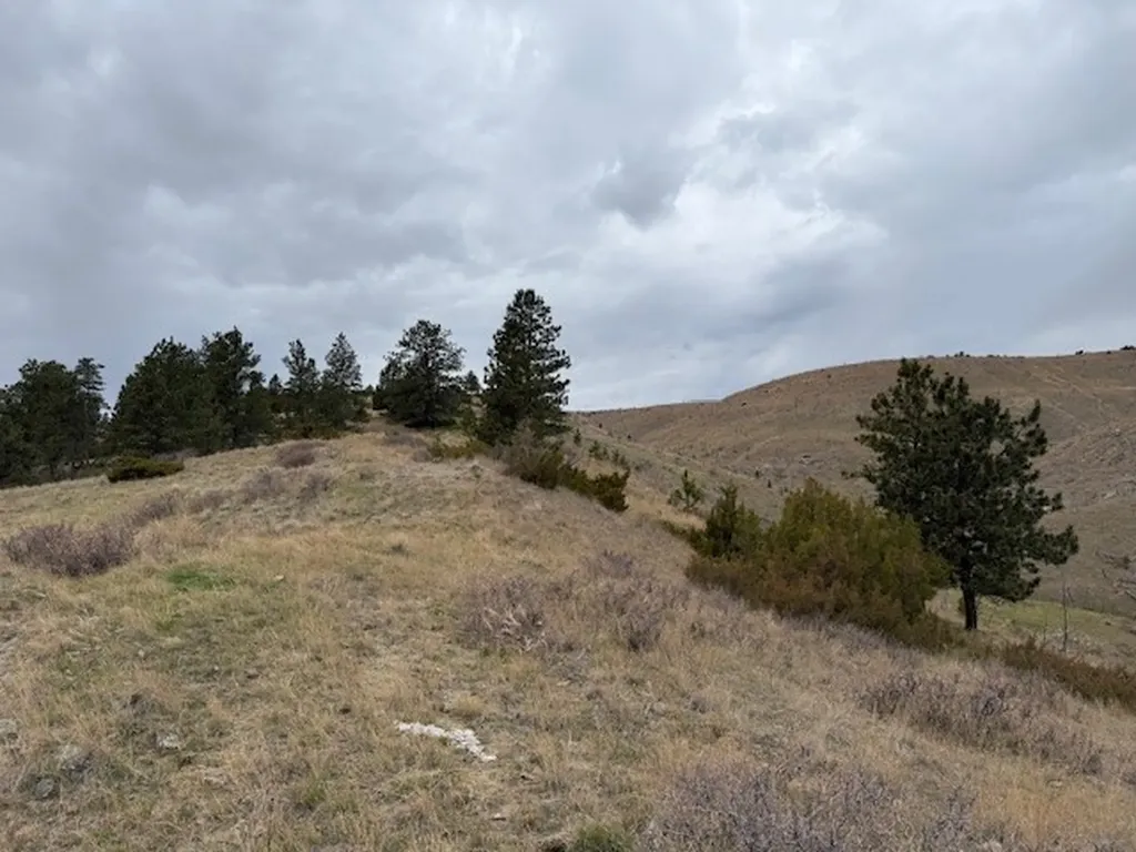 Tbd Brumfield Road Brumfield Reed Point MT 59069