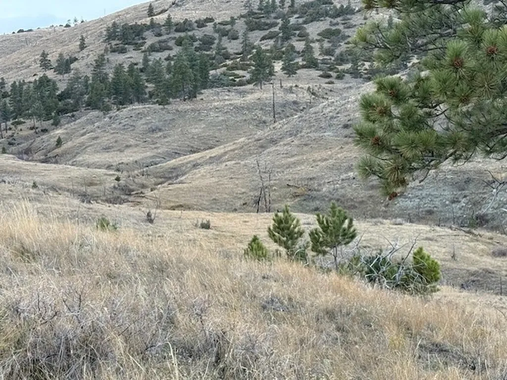 Tbd Brumfield Road Brumfield Reed Point MT 59069