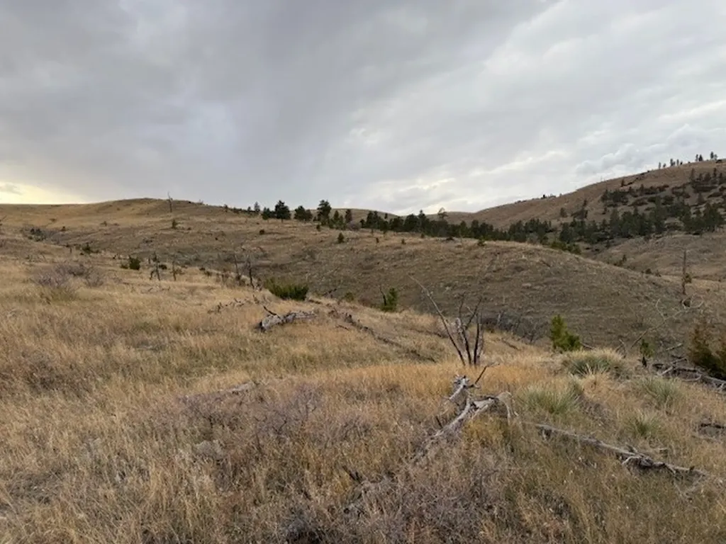 Tbd Brumfield Road Brumfield Reed Point MT 59069