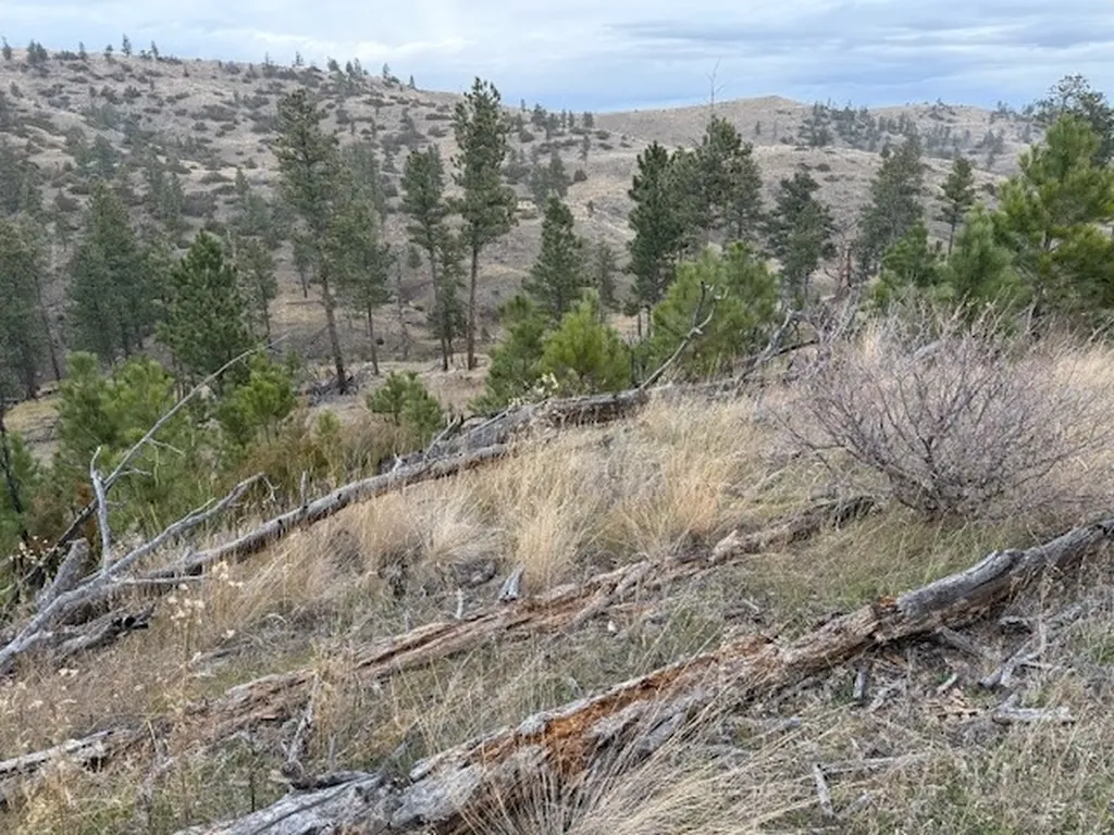 Tbd Brumfield Road Brumfield Reed Point MT 59069